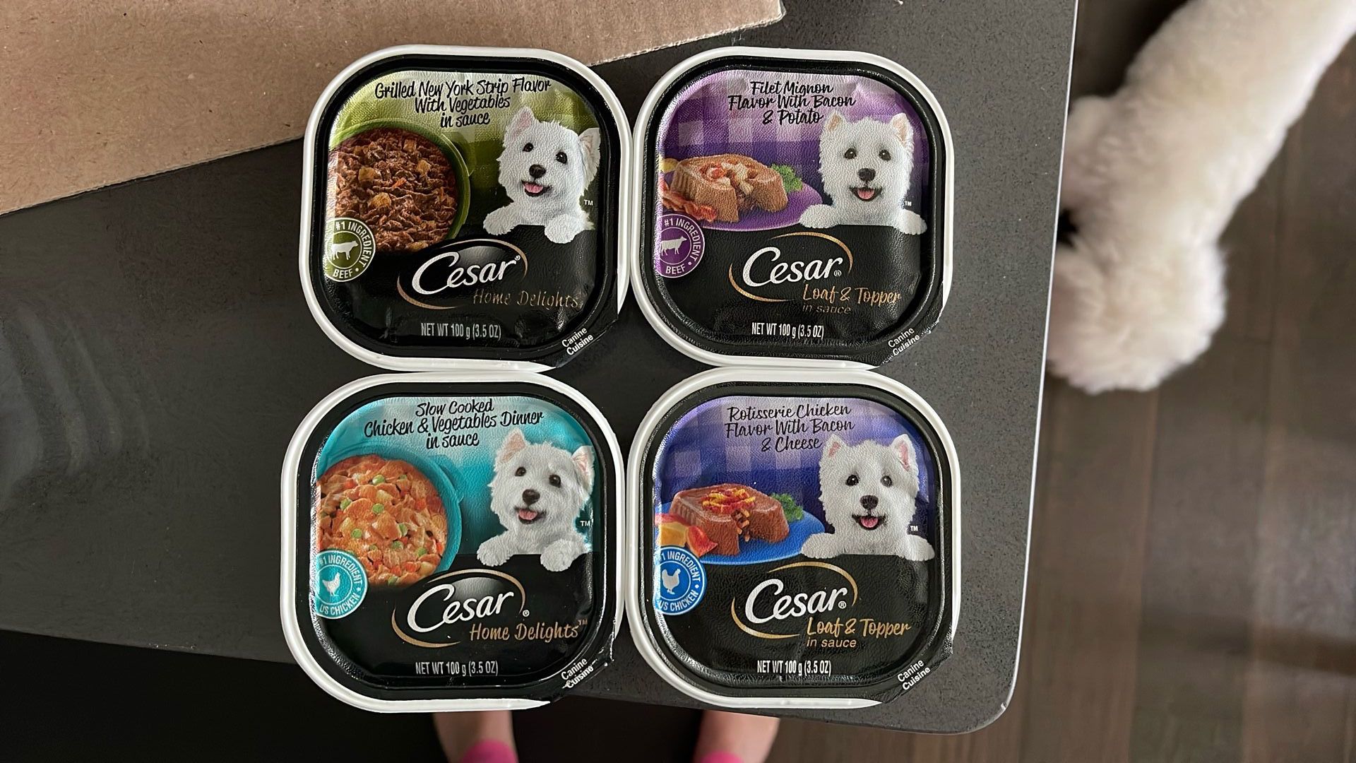 Cesar Wet Dog Food