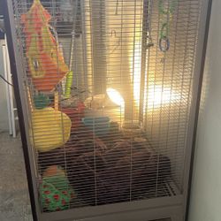 Pet Or Bird Cage