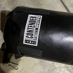 Punching Bag 100lbs 