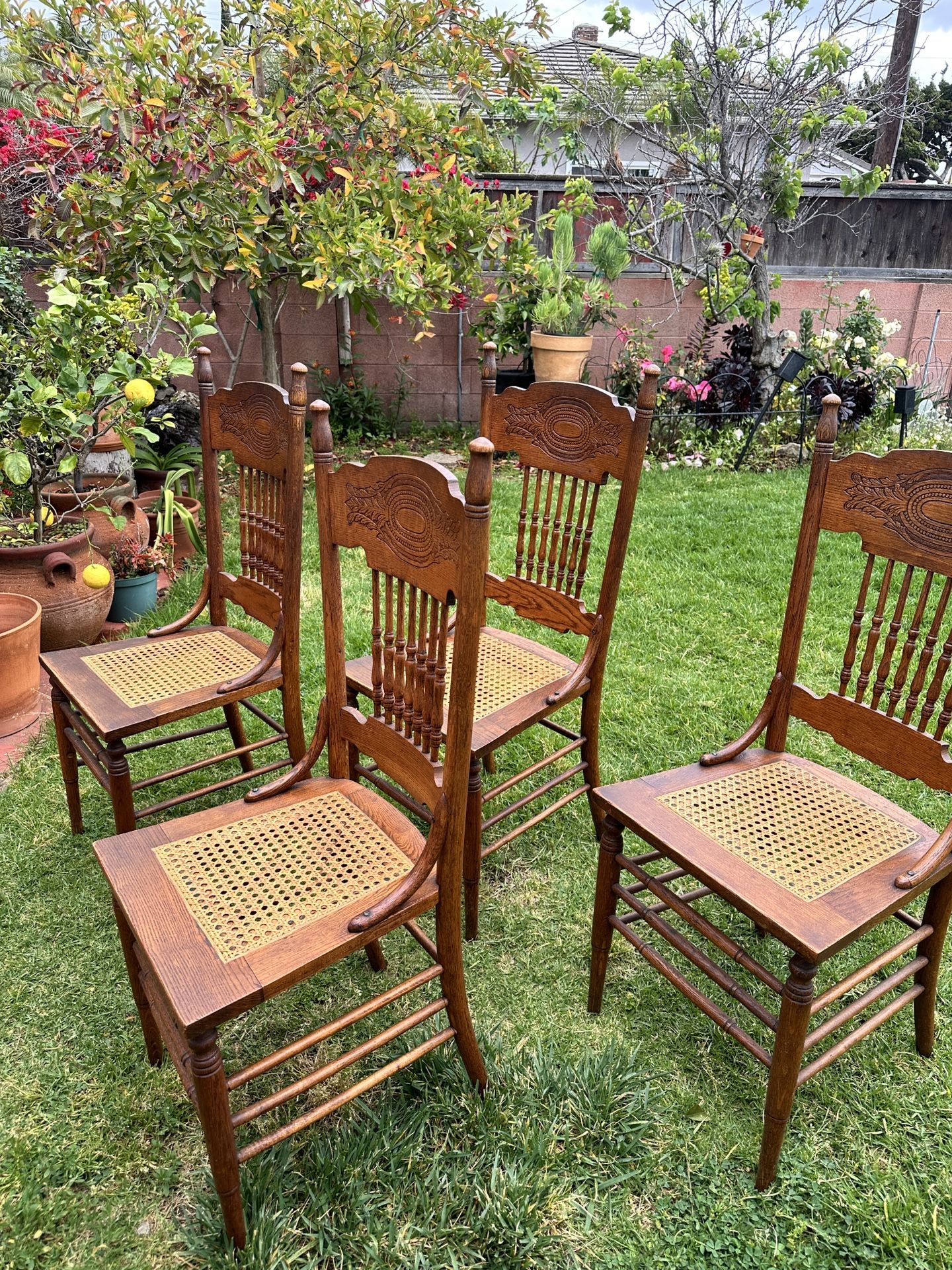 Wooden vintage dining chairs (4 set)  