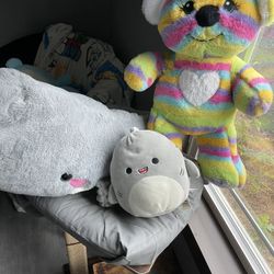 Various Stuffed Animals 