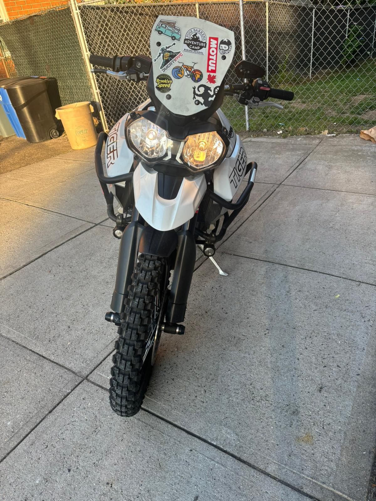 Triumph Tiger