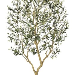 7FT Faux Olive Tree with a Lush Canopy of Lifelike Branches and Realistic Olives.