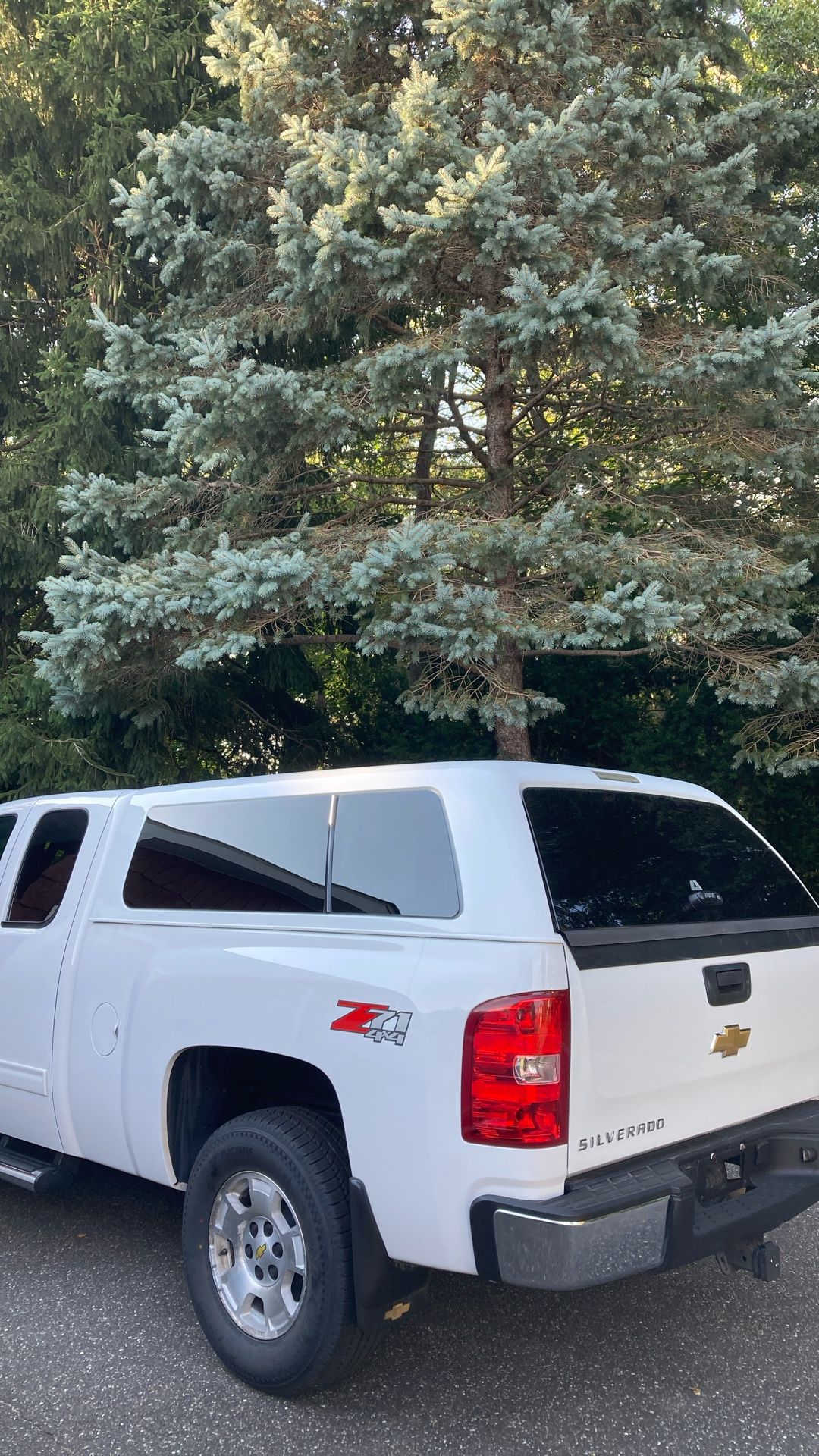 Truck Cap/ Camper She’ll