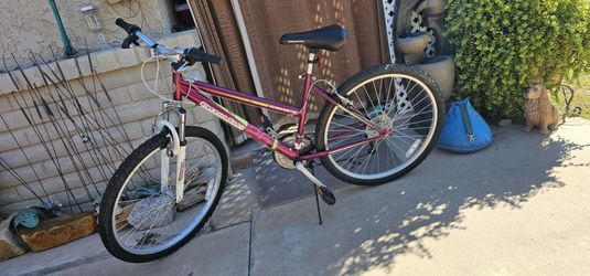 **Roadmaster Granite Peak Mountain Bike**