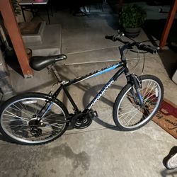 12 Speed Bike 