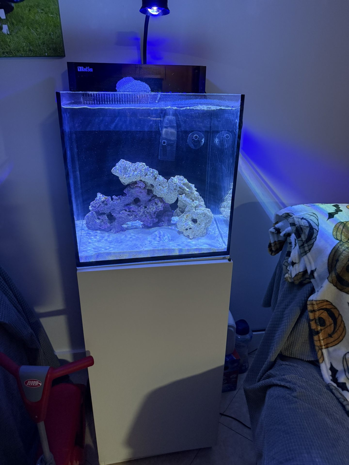 Salt Water Tank With Stand