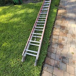 32' Ladder