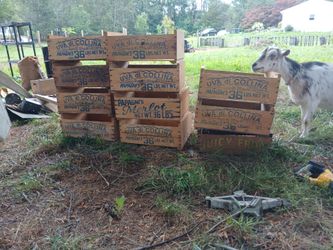 Vintage wooden shipping crates