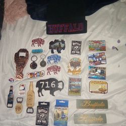 Buffalo Magnets 