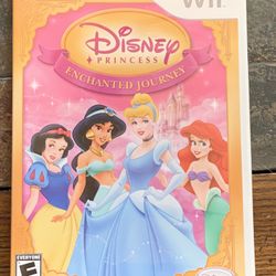 Disney Princess Wii Game
