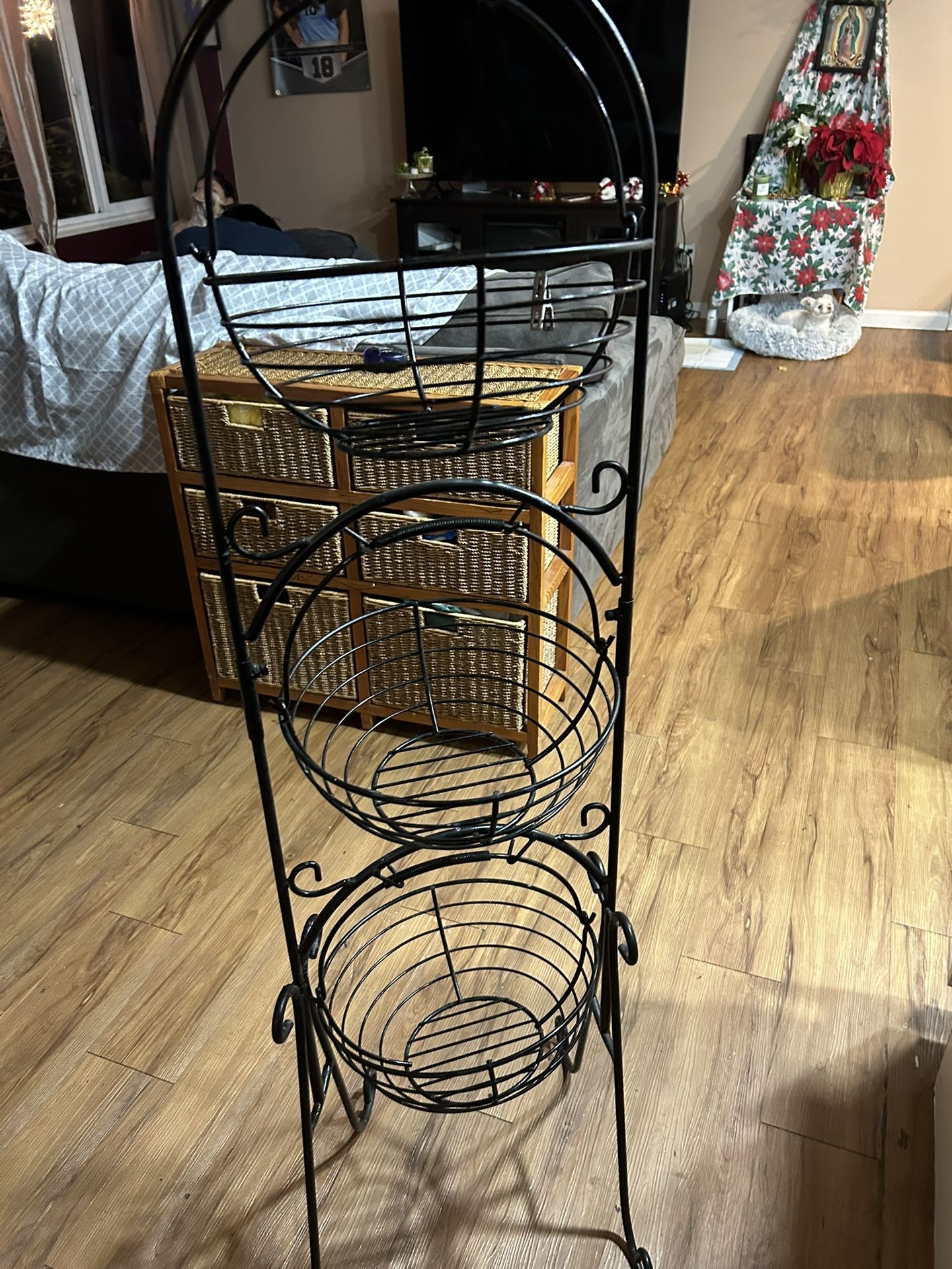 Plant Holder/fruit Holder
