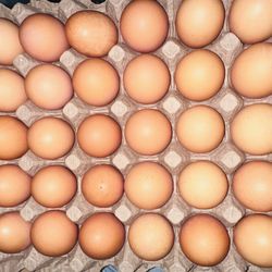 Organic Eggs. Huevos Orgánicos.