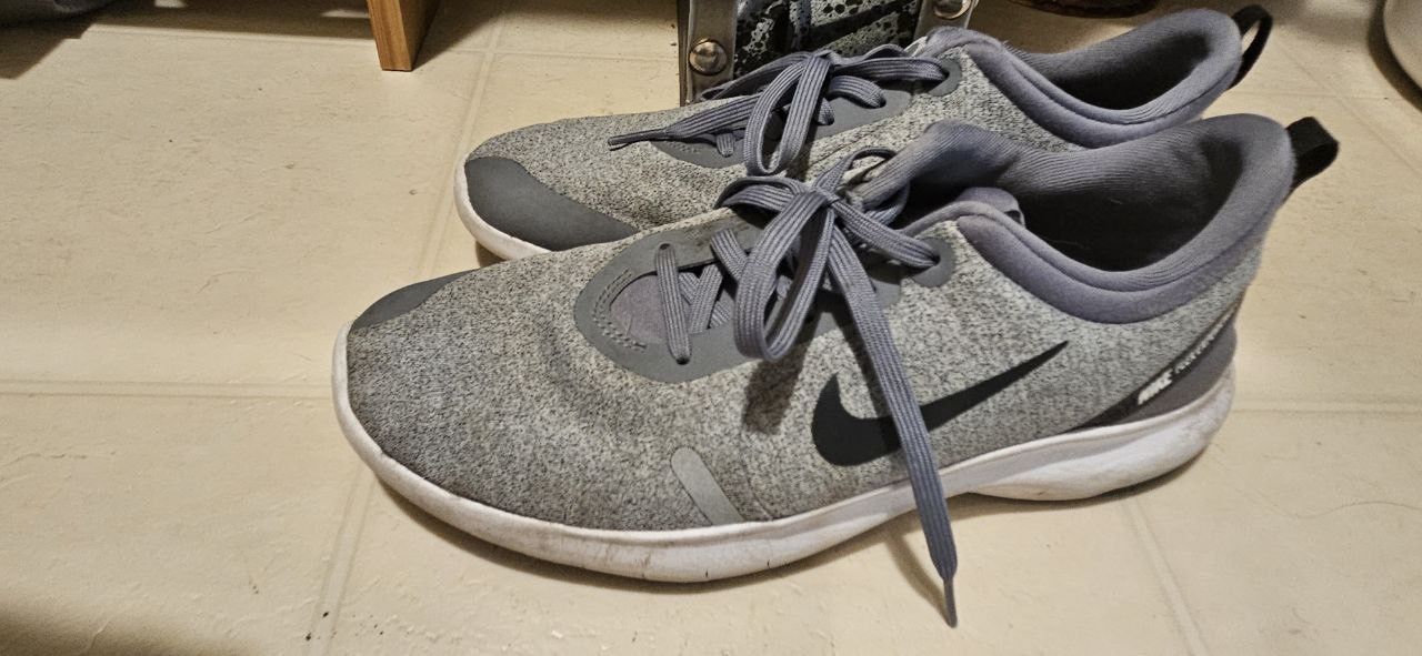 NIKE Flex Experience (Size 7.5 US)