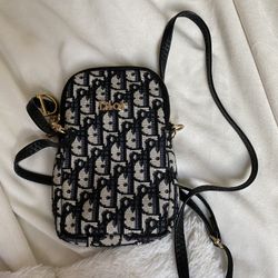 Rare Dior Mini 