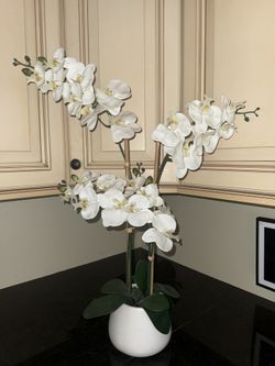 Fake Orchid