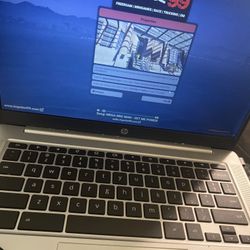 Blooglet chromebook