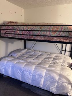 Bunk Beds - Queen and Full