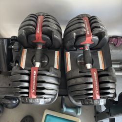 Bowflex Adjustable Dumbbells 