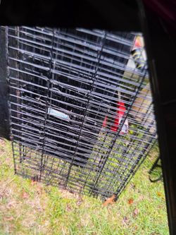 Large and medium dog cages