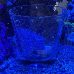 Salt water/reef aquarium