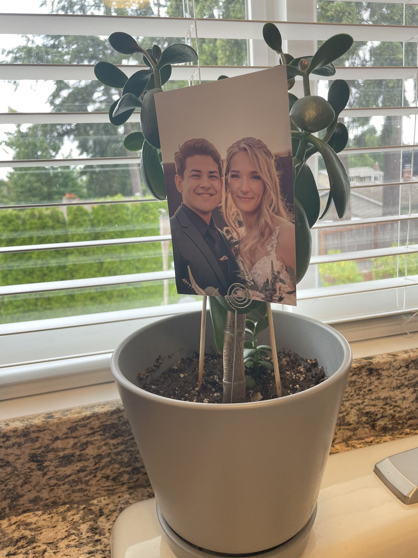 20 Each Picture / Card Holder posts