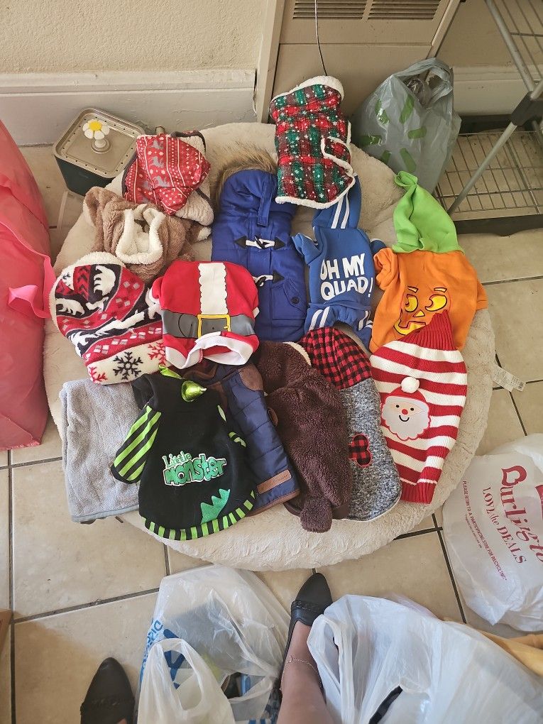Puppy Clothes!