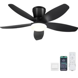 CHISUR 36 black ceiling...with light and remole 8231