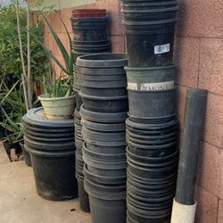 So Many Different Plants Plastic Black Containers Buckets