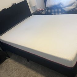 Tulo Medium Plush Queen Mattress