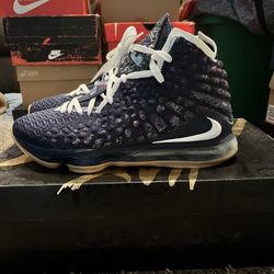 Nike LeBron James Sneakers