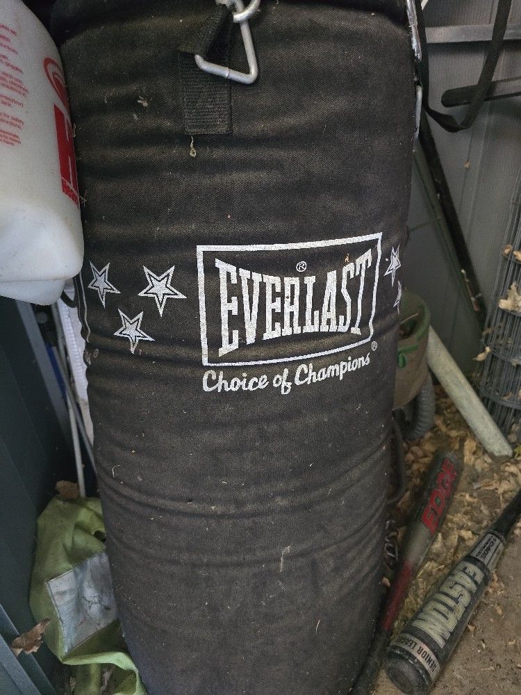Everlast Punching Bag
