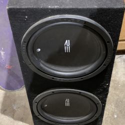 2400 Watt RE Subwoofer 