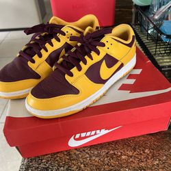 Nike Dunk  Size 10