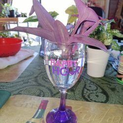  5 Wandering Jew Purple Heart Cuttings $7 -Ship $5