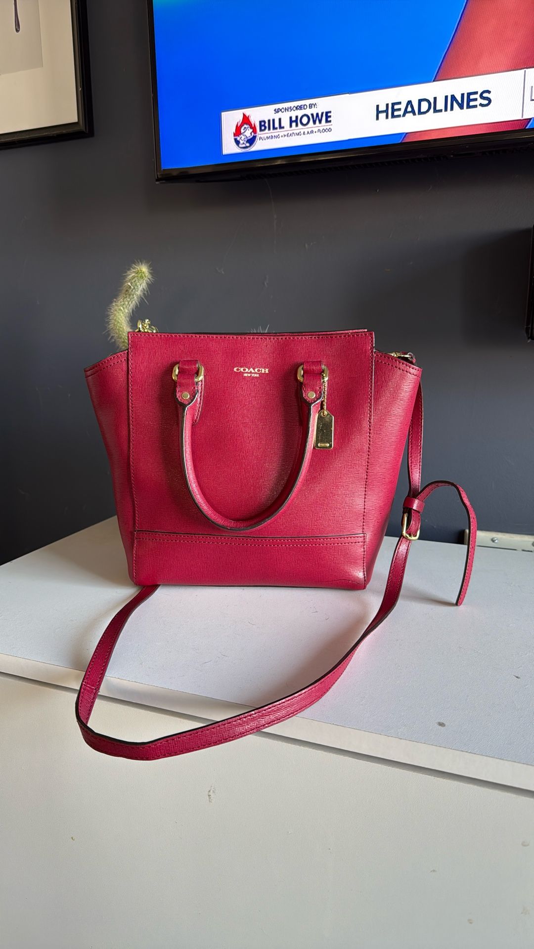 Coach Purse Cross-Body Bag