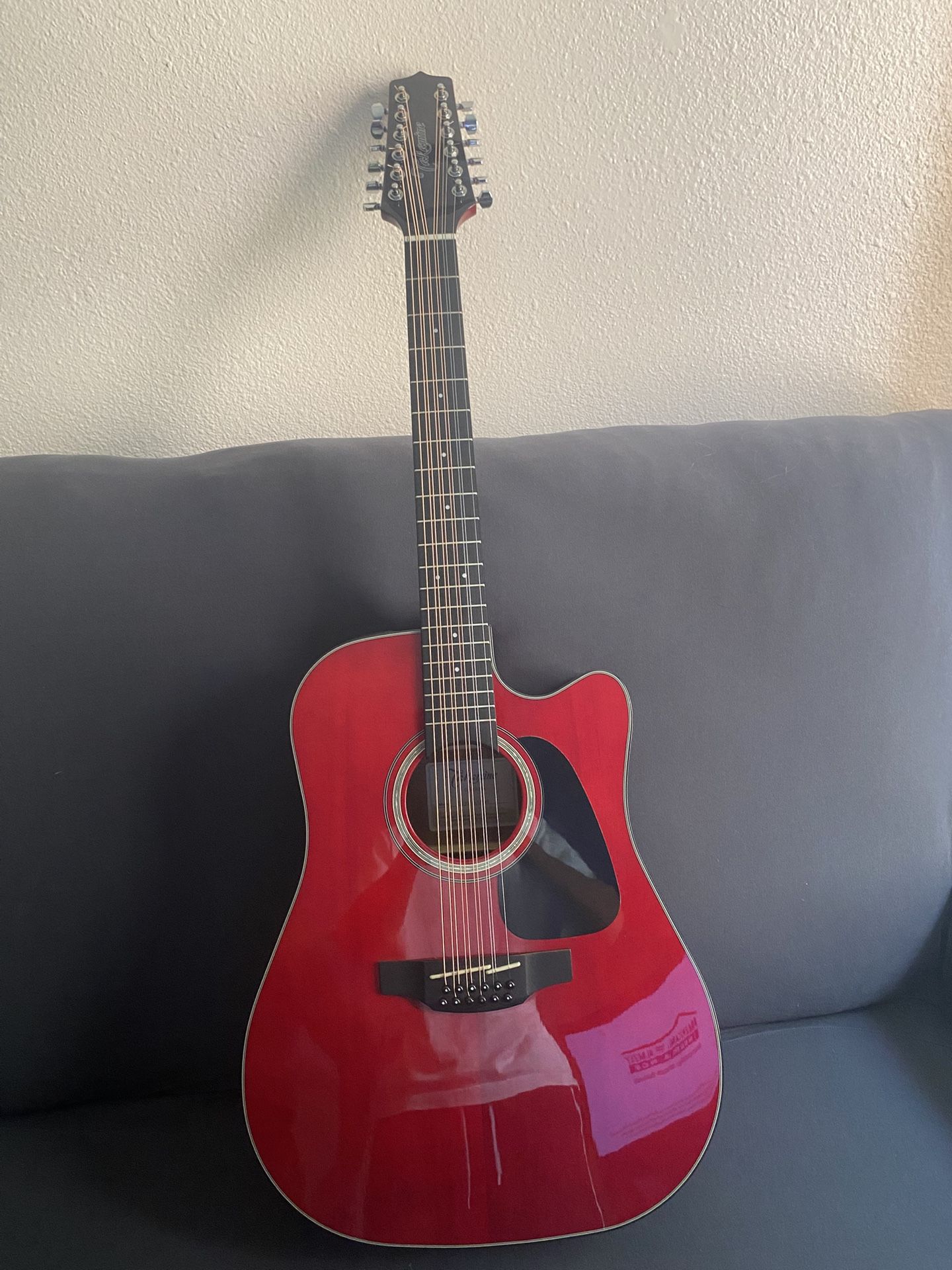 Takamine guitar G-series