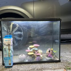 Fish tank 