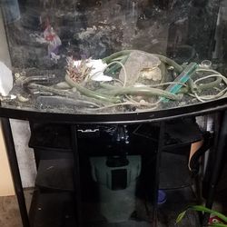Fish Tank With Shelf