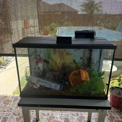 30 gallon Fish Tank 