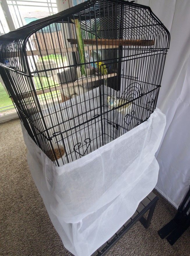 Bird Cage