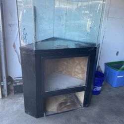 Fish Tank And Lizard Tank 