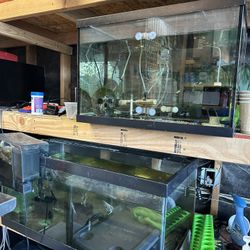 40 Gallon & 20 Gallon Fish Tank