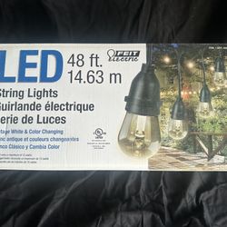 Feit Electric 48’ Bistro LED Light String.