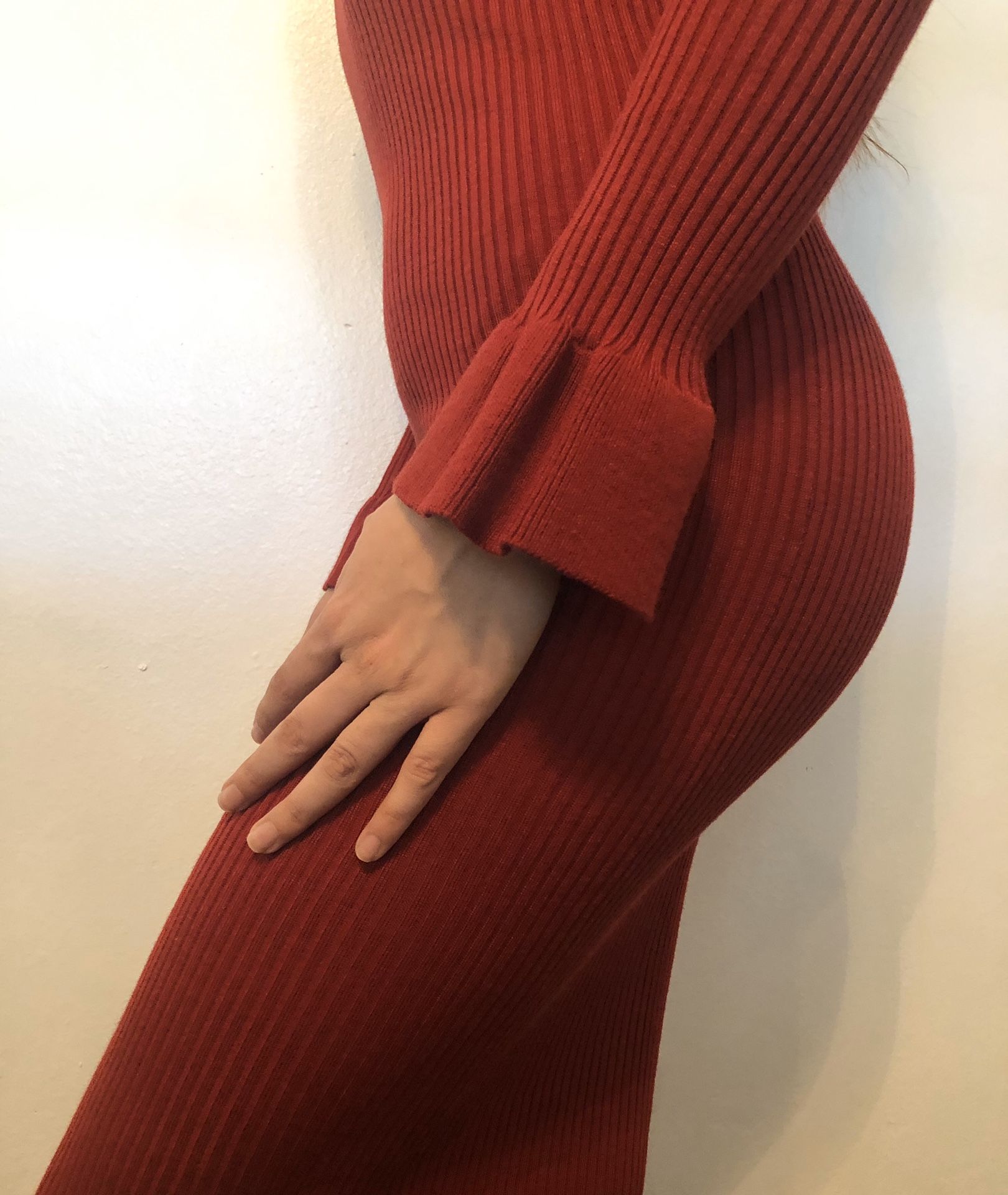 Turtle Neck Long sleeve Dress