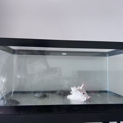 Turtle Tank Stand 