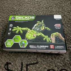 Geckos Telecontrol