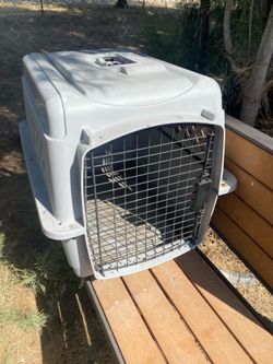 JAULA PARA PERROS SIZE MEDIANO EN BUENAS CONDICIONES