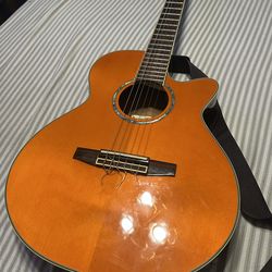 Ibanez Acoustic, electric guitar
