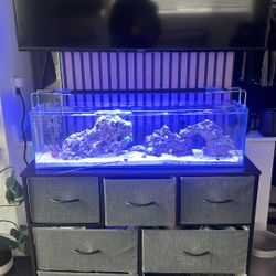 12 Gallon Salt Water Reef Lagoon Style Fish Tank Aquarium